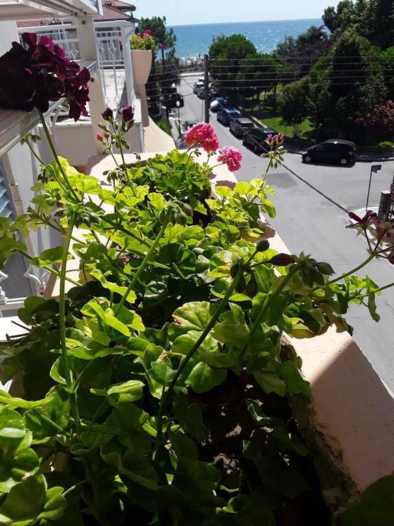 Ikaros Apartments Paralía Kültér fotó